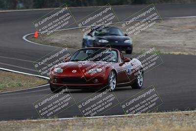 media/Apr-27-2025-Speed Ventures (Sun) [[00d8e719cd]]/Purple Group/Session 1 (Turn 3)/